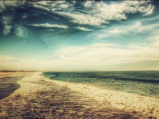 سورة الحشر للقارئ الشيخ ماهر المعيقلي