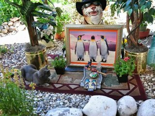 GALLERY, MARSHAL ARTS