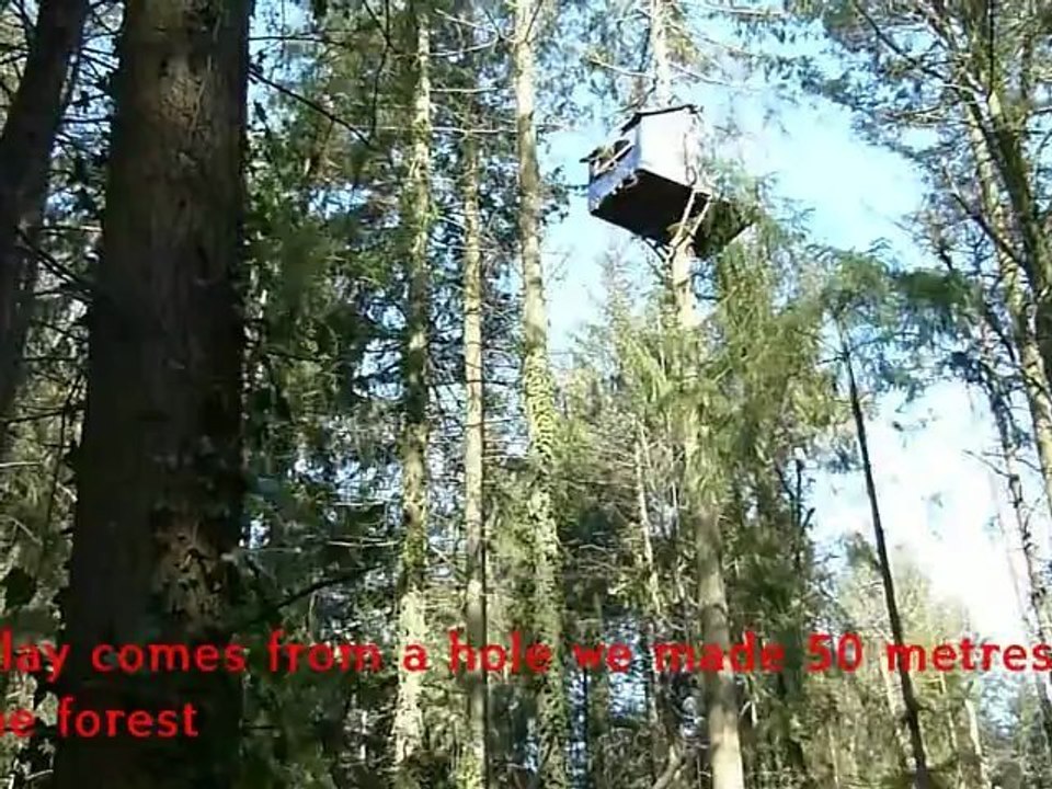 #ZAD #NDDL : Quand les arbres s'agitent (When the trees shake) 2/4