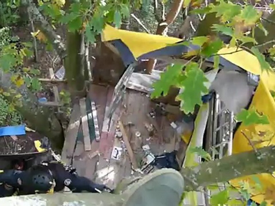 #ZAD #NDDL : Quand les arbres s'agitent (When the trees shake) 3/4