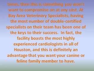 Advanced Pet Care in Houston