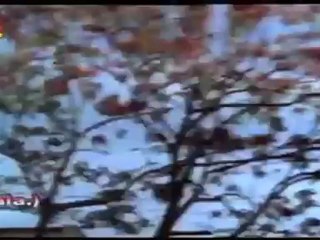 Ente Kanakuyil: Year 1985: Mini Movie