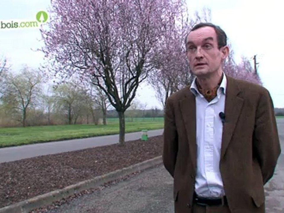 Bois et recyclage - Veolia Propreté