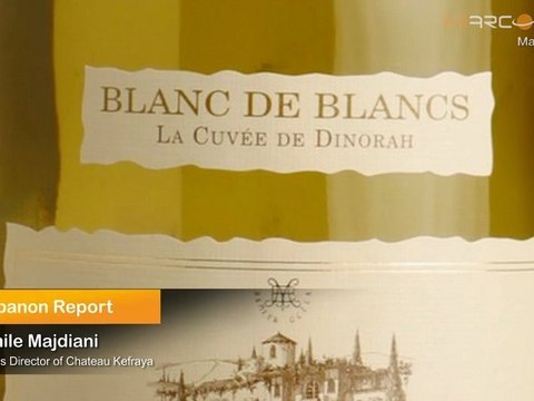 Export of Lebanese Wine: Exporting Lebanese Wine and Selling It Abroad