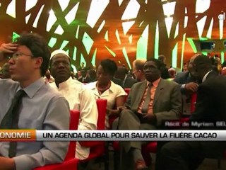 Un agenda global pour sauver la filière cacao