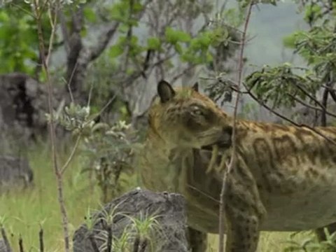 Sur la terre des monstres disparus - Épisode 5 sur 7 - Dents de sabre
