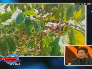 TonightShow-26-Nov-2012_1