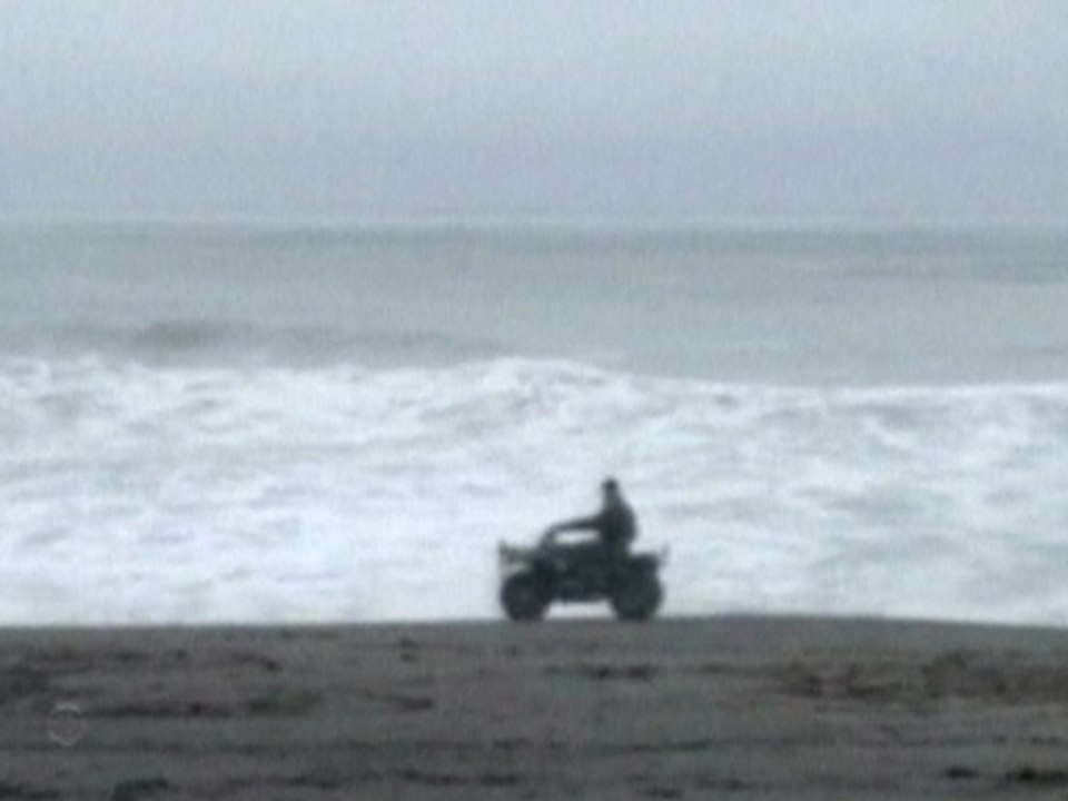 California family drowns while trying to save dog