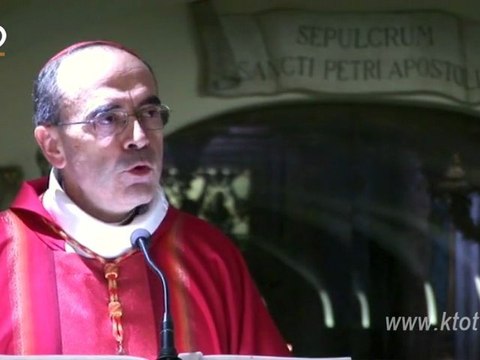 Cardinal Barbarin : « Nous sommes les pierres vivantes »
