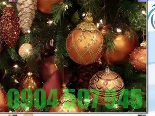 TỔ CHỨC NOEL, DỊCH VỤ TỔ CHỨC GIÁNG SINH 0904 507 945 ..
