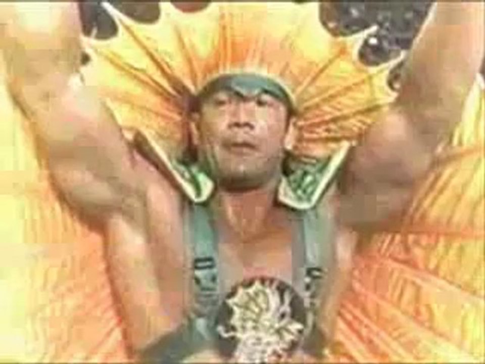 WWF Tribute
