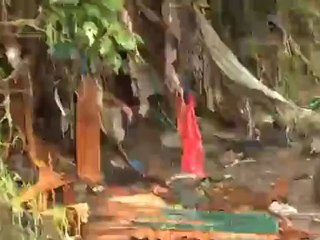 Costa Rica's Earth University | Global 3000