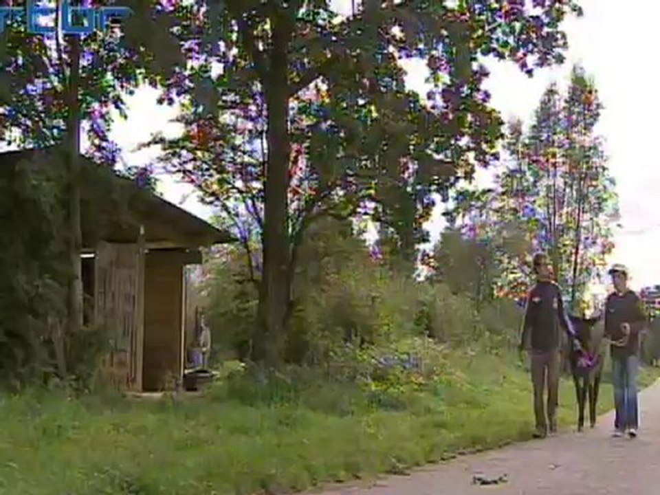 ça bouge -  travail avec les ânes et personnes fragilisées