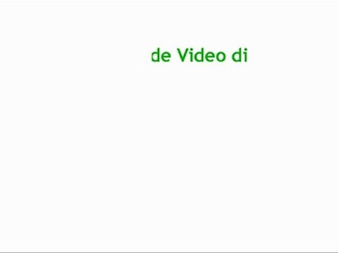 come si cura un bonsai