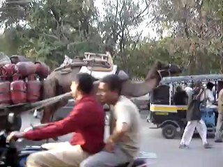 ACARIE Pierre :Radjasthan MOV01072