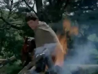 Hercules doodt de hydra