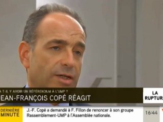 Copé propose un référendum sur la tenue d'un nouveau vote