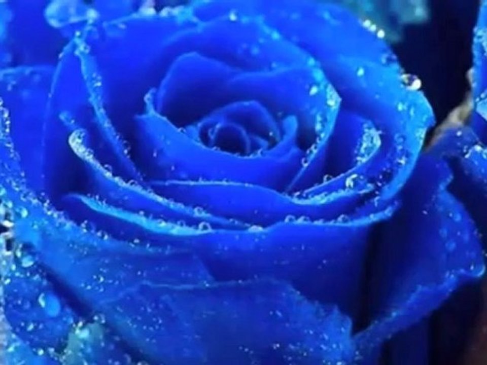 FELIZ SAN VALENTIN PEPI