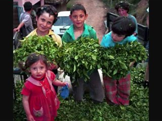 sesliseviyore.com,sesliseviyore.com,sesliseviyore.com BiR BAŞKADIR BENiM MEMLEKETiM -