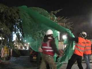 Installation d'un sapin géant place de la Concorde à Paris