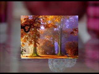 ömer faruk-tekbilek-Yüreğin yolu...YAZIᏊᏩйᏝᏊö௱rй௱ ᏊHüseyin EREN