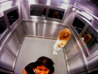 ghost elevator prank