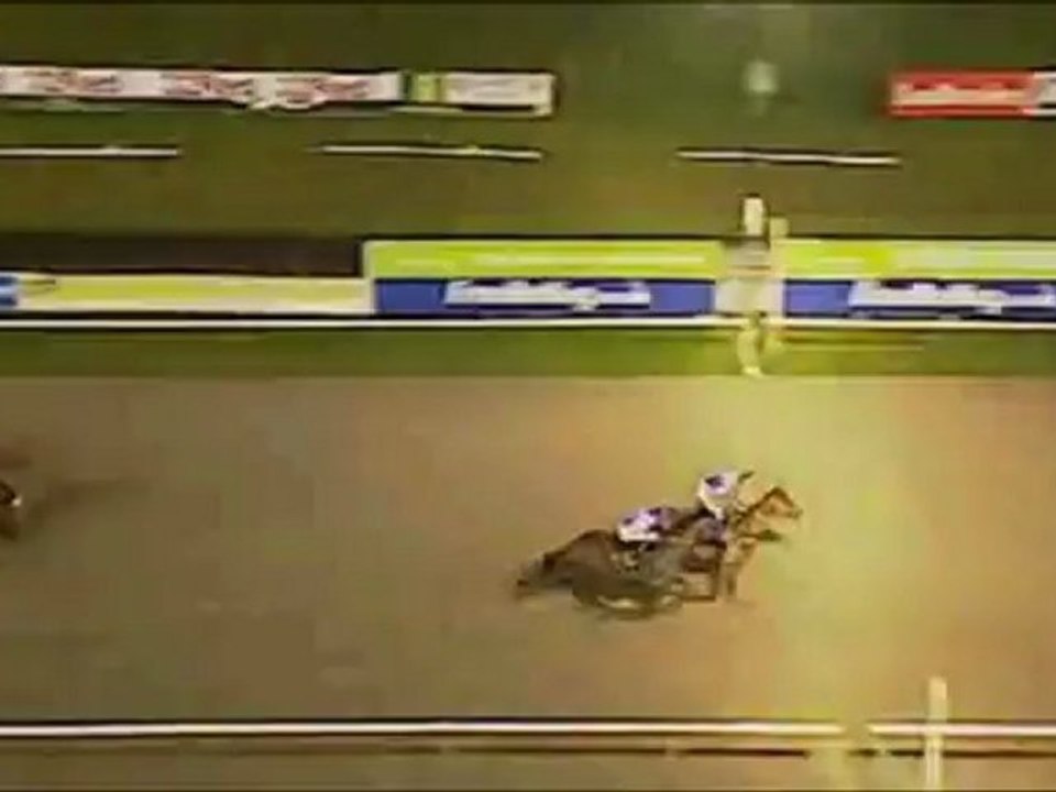 Wolverhampton Races 24/11 Robert Winston on White Deer