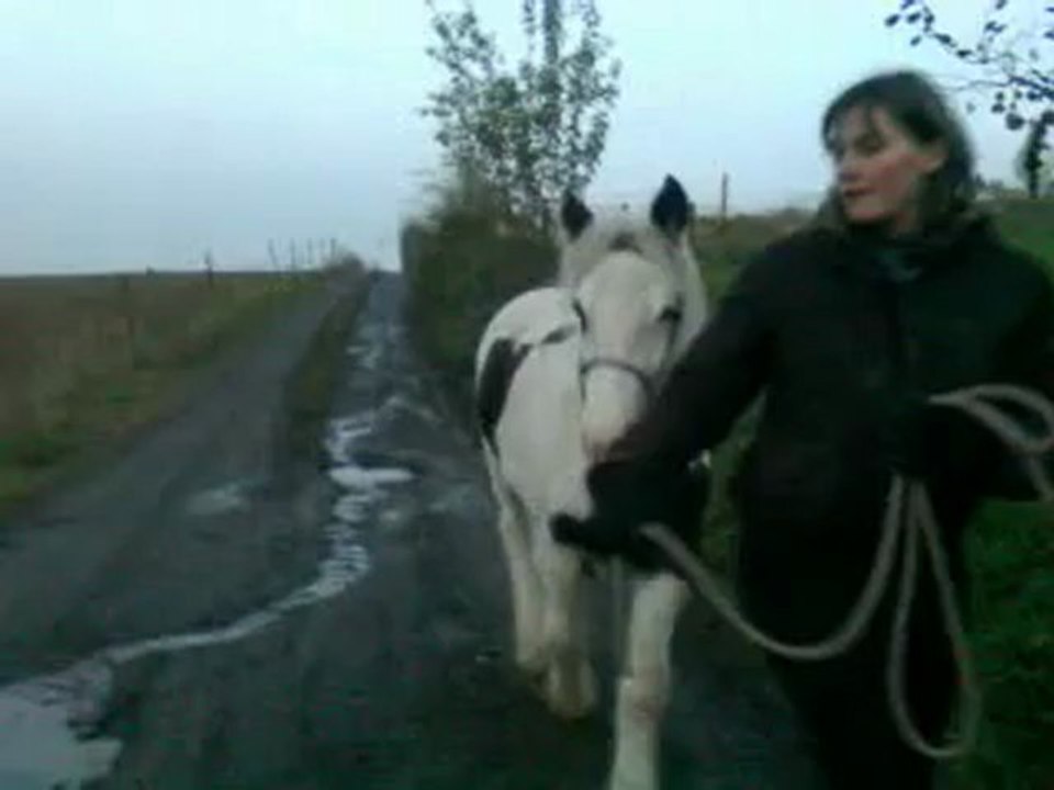 Retour de balade de Amandine et Cap'tain