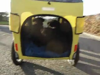 promenade dominicale (5semaines)