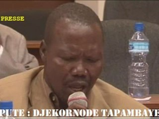 Le griot Hassan Sylla n'a pas convaincu les élus - Djekornode Tapambaye et Mbaidesemel Donadi-TOL