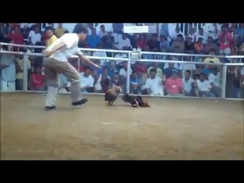 RJR Moncada Calidoms in Action 2102 Derby Fights Compilation