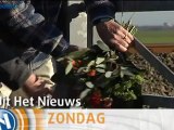 Uit Het Nieuws over treinongeluk Winsum [promo] - RTV Noord