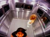 caméra cachée : Fantôme dans un ascenseur