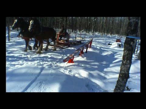 Jeff Fortin snowboarding promo video