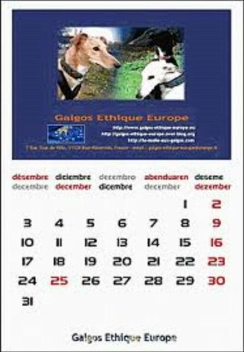 calendrier 2012 2013