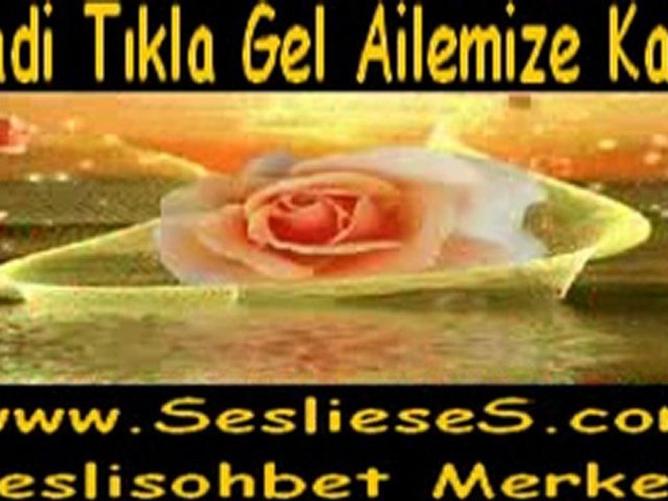 Bir Tek Seni Sevdim Gerisi Yalan