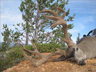 Record Quest Video: Monster Muley Taken in Southwest Utah