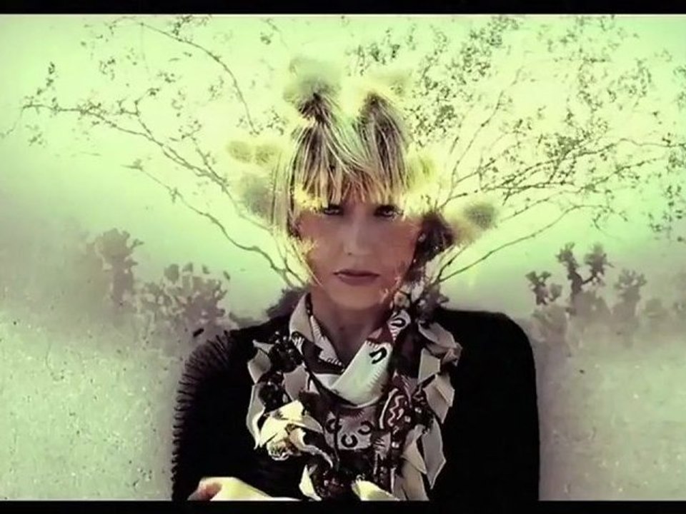The Joy Formidable - Cholla