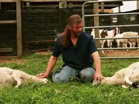 Mercy Halal Islamic Slaughter Part 1