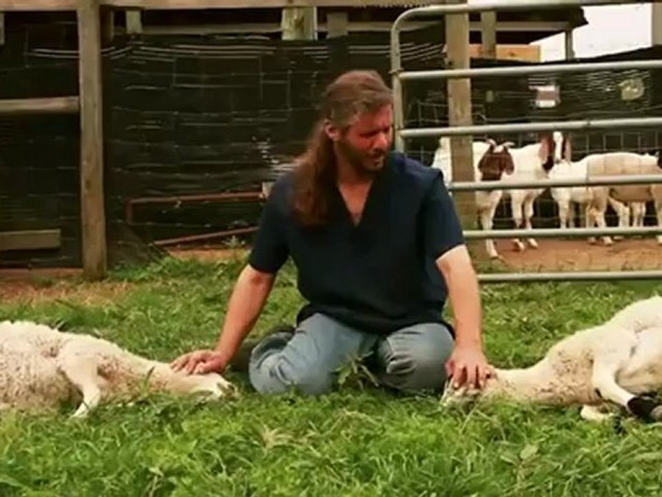 Mercy Halal Islamic Slaughter Part 1