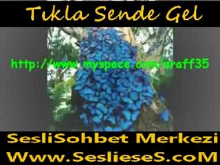 Bugun Anladım Melekler Ağlar Şimdi Halime