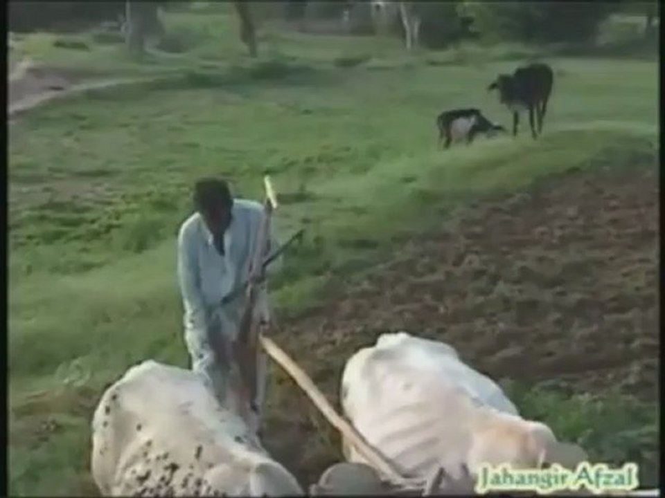ploughman