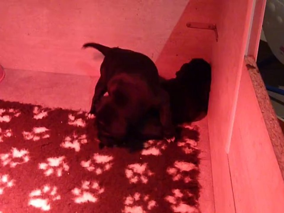 Bébé Ever & Kyle 261112