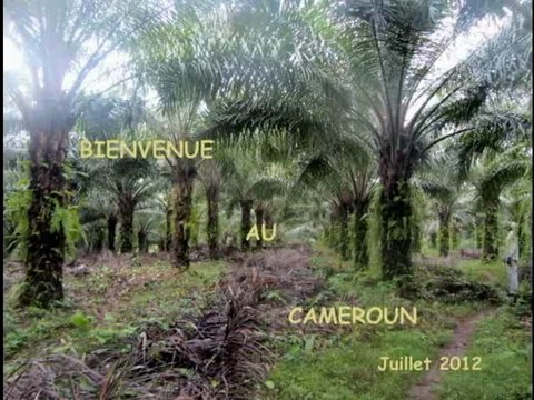 Diaporama - Le centre Mahol Ma Nkon est opérationnel - Développement rural - Cameroun 2012