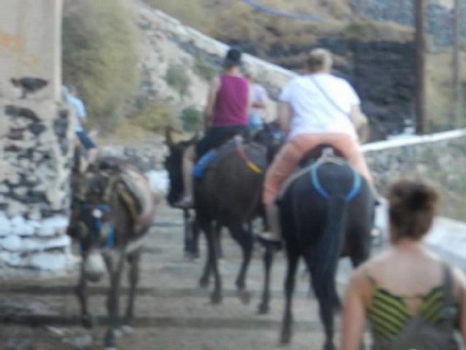 FTI Berlin Kreuzfahrt Santorin Ausflug Eselritt Shopping in Fira