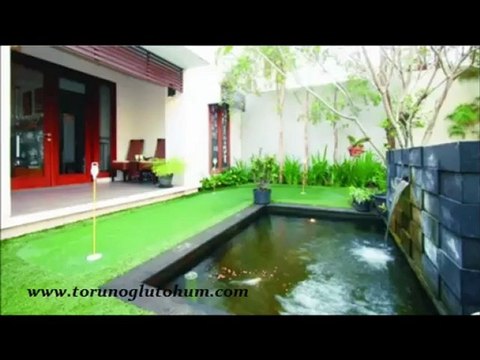 Cim tohumu ekimi,cim tohumu nedir,cim tohumu fiyatları,cim tohumu fiyat