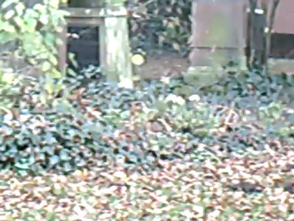 CLIP0112