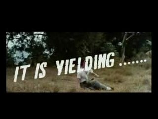 snake in the eagle shadow