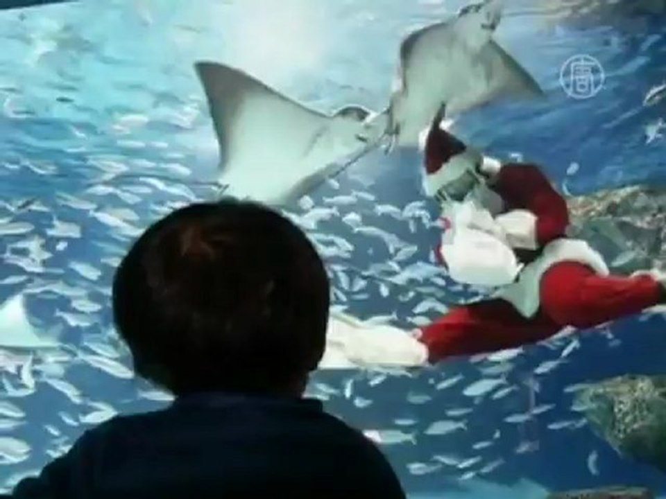 Подводный Санта-Клаус объявился в Японии