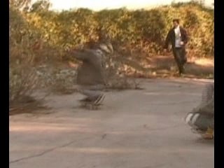 Session Downhill n°2